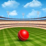 About Cricket game information